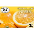 みかん 柑橘類 先行受付 とろける濃厚柑橘