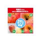 ふるさと納税 りんご 青森県 黒石市 レビュー評価 4.5の訳ありりんご「サンふじ」。お試しサイズ3kgが登場 1748539