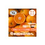 果物類 みかん 発送月固定定期便 時期による味の違いを楽し…