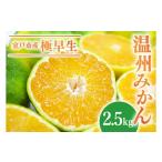 果物類 みかん 極早生 温州みかん 2.5kg