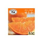 訳ありだけど美味しさそのまま せとか 5.5kg