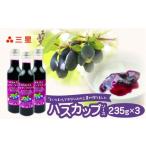 加工品等 カナダ産 市民還元ハスカップソース 235g