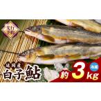 川魚 あゆ 冷蔵 白子鮎約3kg N070-YC426-1