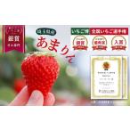 いちご 先行受付 2ヶ月定期便 あまりん梅