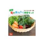 野菜類 トマト 旬のとれたて野菜セット 5~7品