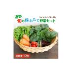 野菜類 トマト 毎月定期便 旬のとれたて野菜セット