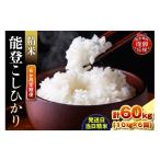 米 コシヒカリ 定期便 6か月 令和8年産 能登コシヒカリ 10k…