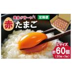 新鮮たまご 赤玉 Lサイズ 20個