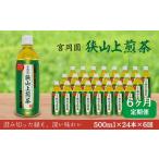 お茶類 緑茶 飲料 定期便6か月 ペットボトル