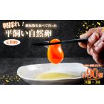 卵 鶏 烏骨鶏等 朝採れ 平飼い 自然卵 鶏卵 生卵