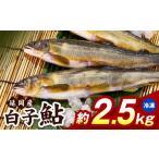 川魚 あゆ 冷凍 白子鮎約2.5kg N070-YB926-2