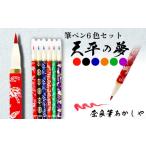 文房具 玩具 筆 和紙貼り筆ペン 天平の夢 6色セット