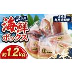 毎月定期便 全6回 訳あり ボックス 1.2kg