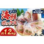 毎月定期便 全12回 訳あり ボックス 1.2kg