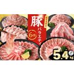 豚肉 バラエティ セット6種 計5.4kg