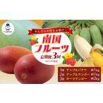 マンゴー 定期便3回 道の駅 許田 南国フルーツ