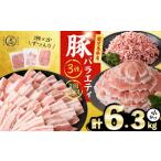 豚肉 バラエティ セット3種 2.1kg×3回