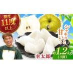 梨 化粧箱入り 幸太郎 幸水 3個入