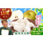 梨 化粧箱入り 温室幸太郎 幸水 5-6個入 約2.3kg