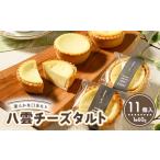 ケーキ カステラ タルト 八雲チーズタルト 60g×11個入