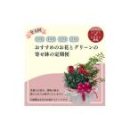 花 苗木 発送月固定定期便 育てる楽しさも味わえる