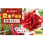 野菜類 栽培期間中農薬不使用 乾燥赤唐辛子 300g