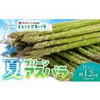fu.... налог овощи вид спаржа Hokkaido ... блок лето aspalaM размер примерно 1.2kg(150g×8 пакет входить )..... налог популярный рекомендация классификация зеленый aspalaa...
