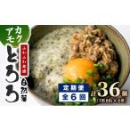 人参 大根 他根菜 定期便 全6回 磯の風味が香る