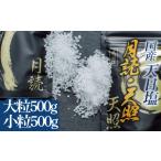 塩 だし 海塩 天日塩 天照 月読 セット 小粒 大粒 1000g