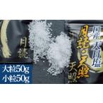塩 だし 海塩 天日塩 天照 月読 セット 小粒 大粒 100g