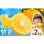 果物類 みかん ご 甘夏 約2kg