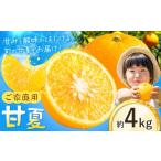 果物類 みかん ご 甘夏 約4kg