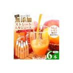 無添加ストレートにんじんジュース900ml×6本