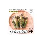 野菜類 マルカツわさび 小サイズ 5本