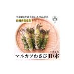 野菜類 マルカツわさび 小サイズ 10本