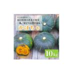 野菜類 甘い粉質系 かぼちゃ 10kg