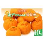 果物類 みかん 先行受付 2027年2月中旬~発送