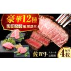 牛肉 ステーキ 全12回定期便 1年間 毎月異なる部位をお届け