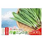 行者ニンニク 約500g