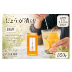 しょうが漬け 850g
