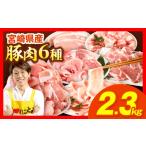豚肉バラエティー詰合せセット 2.3kg