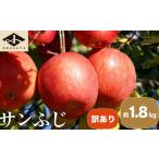 りんご 訳あり サンふじ 約1.8kg