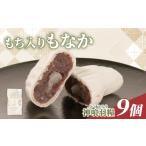 和菓子 もなか もち入りもなか あんこ 9個