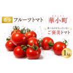 野菜類 トマト フルーツトマト 1kg