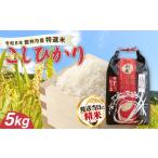 米 コシヒカリ お米 令和8年産 産こしひかり精米 5kg