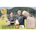 米 コシヒカリ 3回 定期便 令和8年産 10kg
