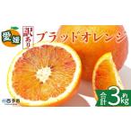 2027年2月下旬~3月下旬迄 予定 わけあり