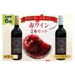 ワイン 赤ワイン 6回 定期便 赤 マスカット