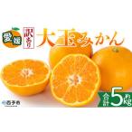 2026年11月上旬~1月下旬迄 予定