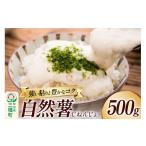 人参 大根 他根菜 自然薯 500g